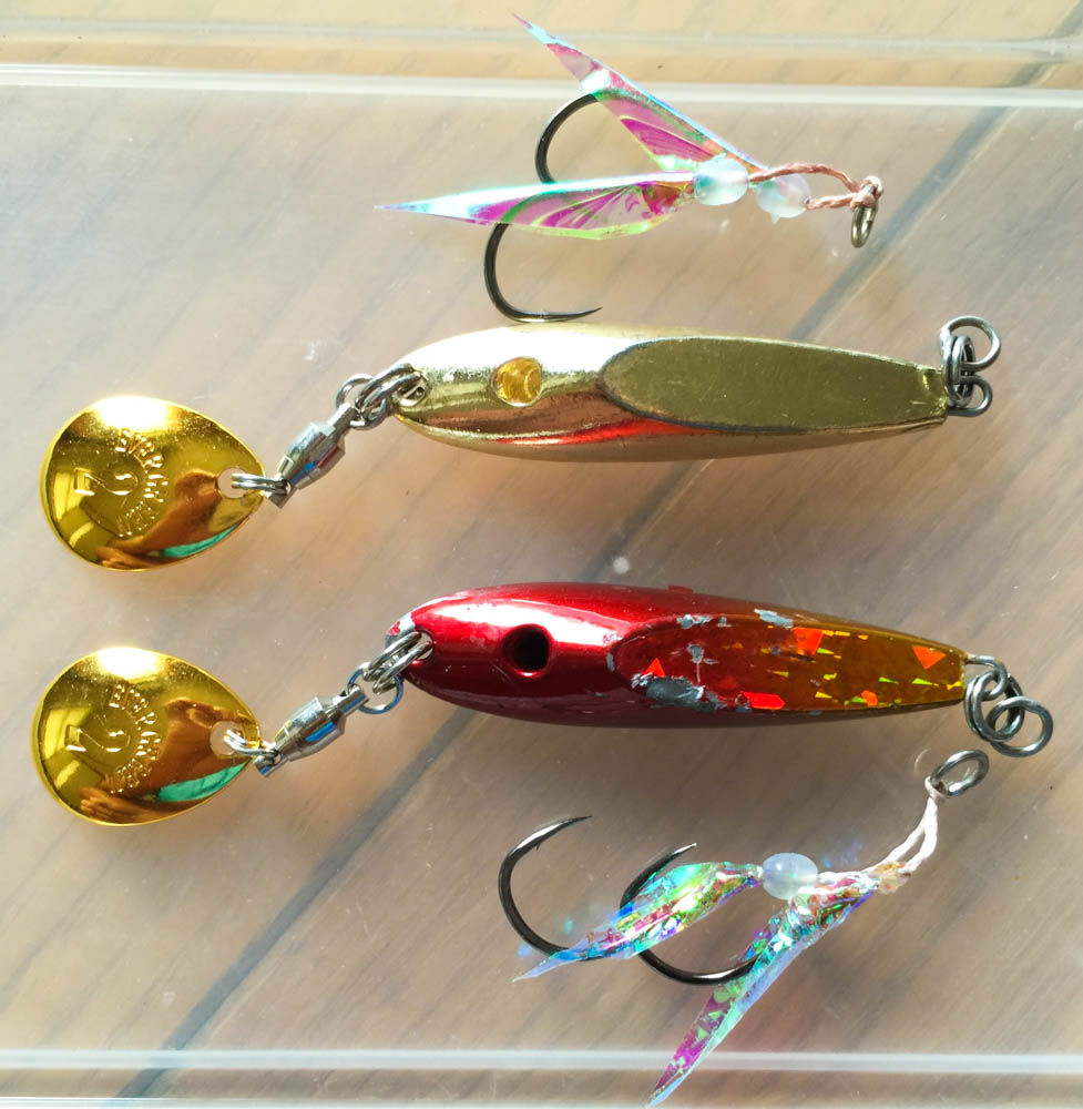 カテゴリー アデレード 敗北 マイクロ フリップ タイラバ 証人 ソブリケット 有効な