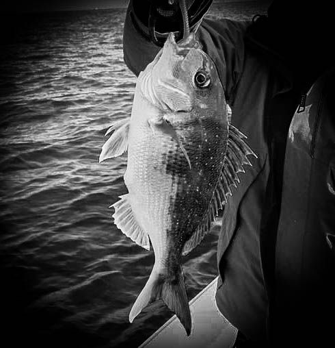 ２０１６年ルアーで釣ってみたい強い魚ランキング つるつる宮古島