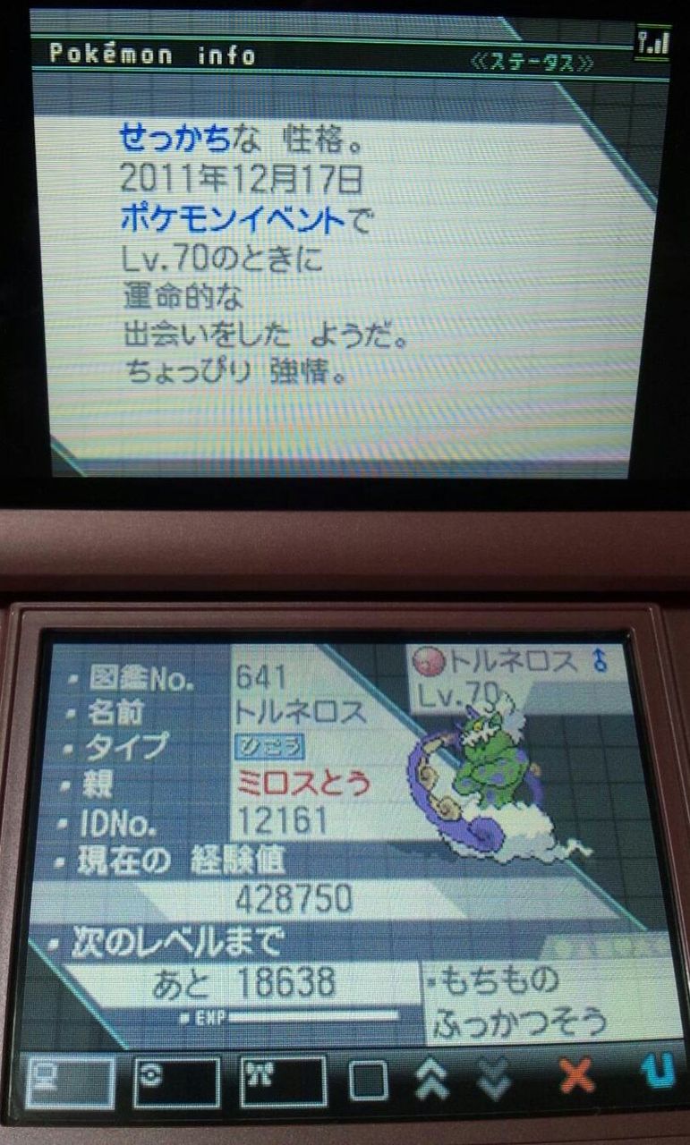 ﾎﾟｹﾓﾝﾌﾞﾗｯｸ ﾎﾜｲﾄ に ﾎﾞﾙﾄﾙｽ ﾄﾙﾈﾛｽ 配信開始 ﾎﾟｹﾓﾝ ﾉﾌﾞﾅｶﾞの野望 発表 E Forumブログ