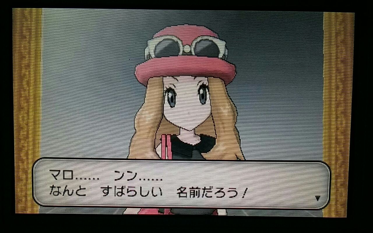 3ds ポケットモンスターy ハリマロンが進化した Orz E Forumブログ