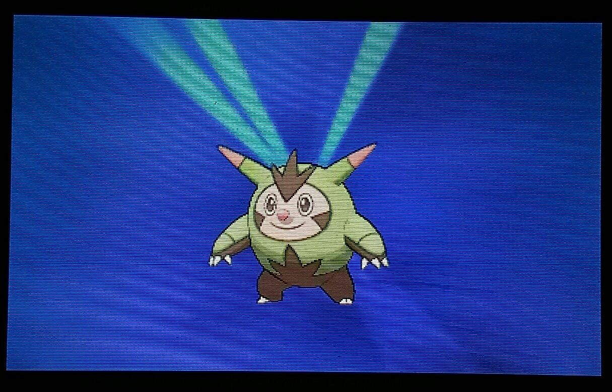 3ds ポケットモンスターy ハリマロンが進化した Orz E Forumブログ