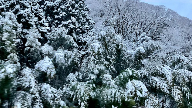 雪景色