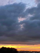 IMG_3185
