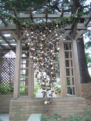 DSCN0332