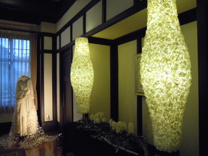 DSCN0338