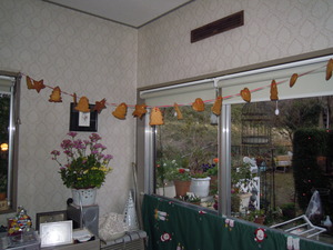 DSCN0434