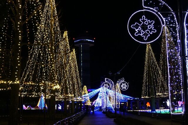 木曽三川公園イルミネーション 12 1 グッチの旅写真 木曽三川公園イルミネーション 12 1 グッチの旅写真
