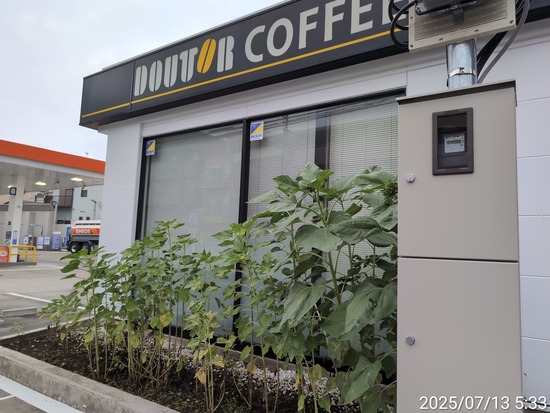 TimePhoto_20250713_053353