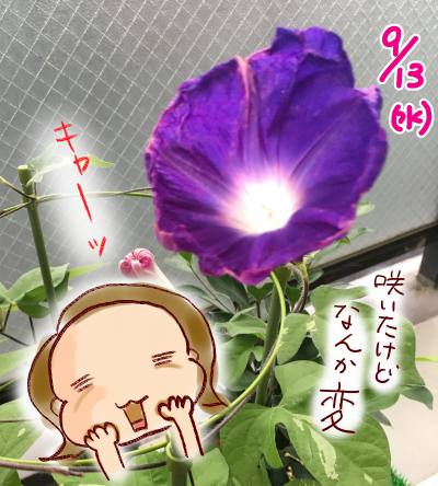 f:id:guchi35sai:20170916170919j:plain f:id:guchi35sai:20170916170919j:plain