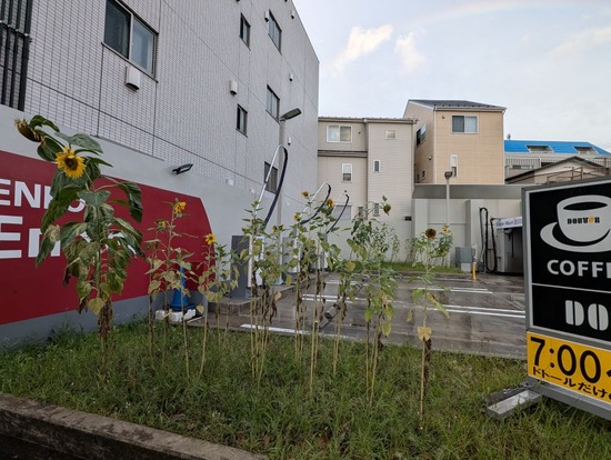 PXL_20240827_203705043~2