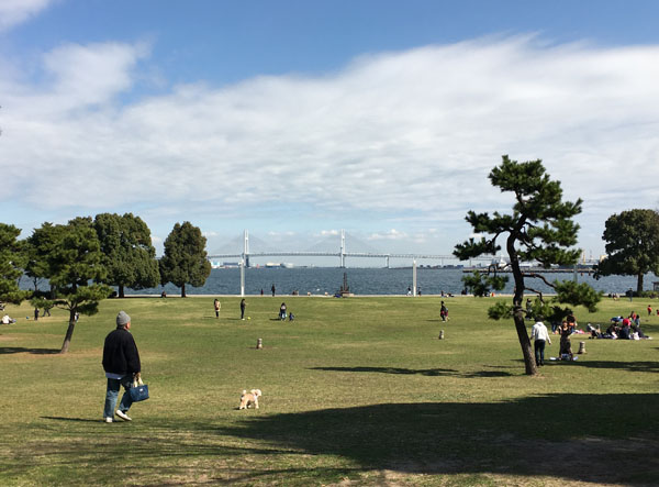 f:id:guchi35sai:20180318160235j:plain