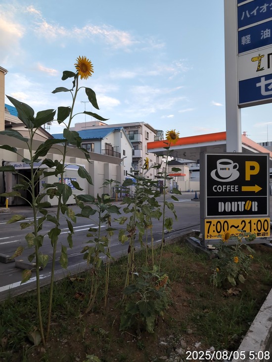 TimePhoto_20250805_050858