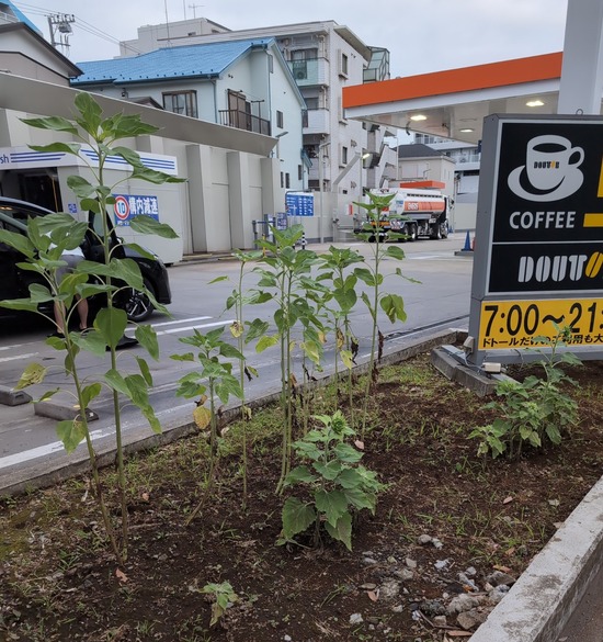 TimePhoto_20250713_053106