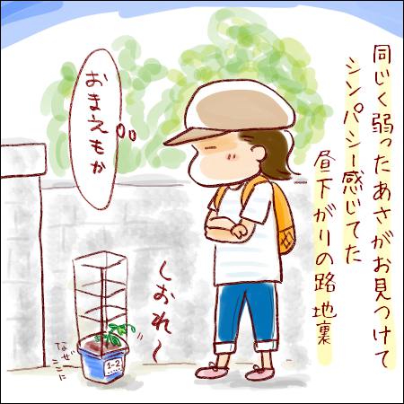 f:id:guchi35sai:20170803164357j:plain