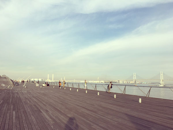 f:id:guchi35sai:20161122101707j:plain