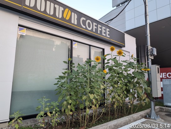 TimePhoto_20250803_051415