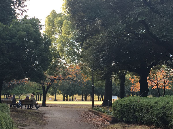 f:id:guchi35sai:20171123160306j:plain f:id:guchi35sai:20171123160306j:plain