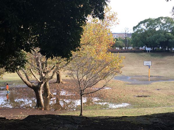 f:id:guchi35sai:20171123172825j:plain f:id:guchi35sai:20171123172825j:plain