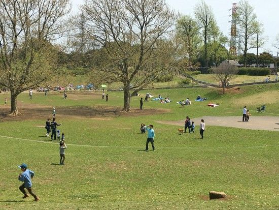 f:id:guchi35sai:20170415164608j:plain