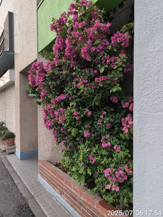 TimePhoto_20250706_175451