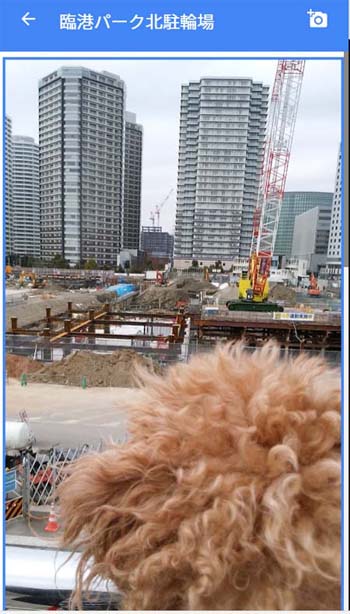 f:id:guchi35sai:20180321123401j:plain