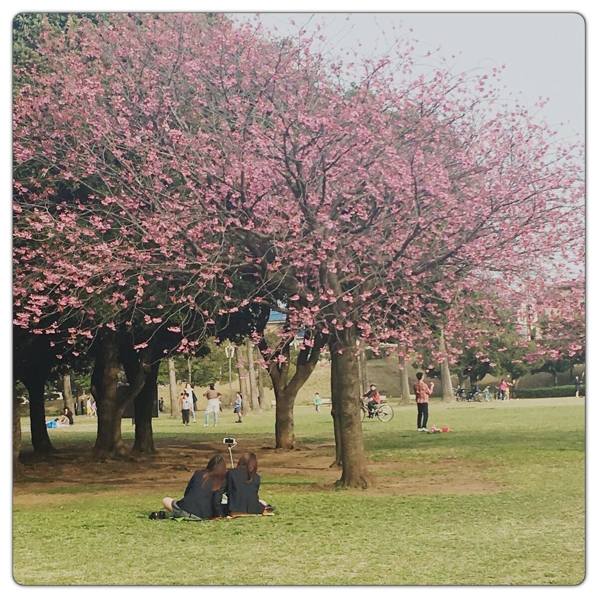 f:id:guchi35sai:20220306090830j:plain