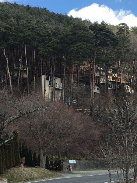 f:id:guchi35sai:20170318122203j:plain