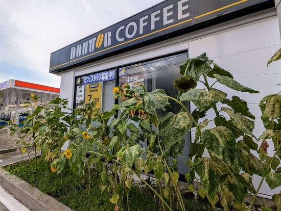 PXL_20240827_203937076~2