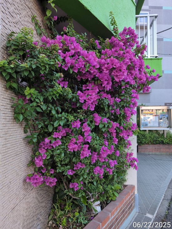 TimePhoto_20250622_054120