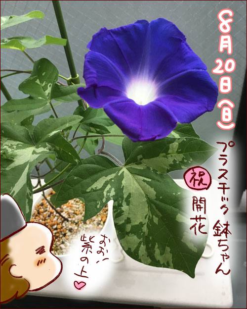 f:id:guchi35sai:20170826101950j:plain