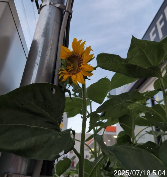 TimePhoto_20250718_050421