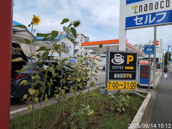 TimePhoto_20250814_101213