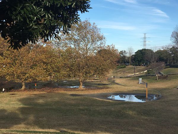 f:id:guchi35sai:20171123160730j:plain f:id:guchi35sai:20171123160730j:plain