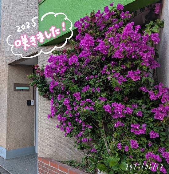 PXL_20250611_202231745