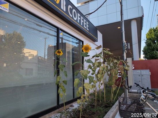 TimePhoto_20250907_170641