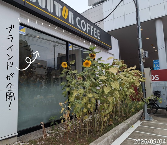 TimePhoto_20250904_112537