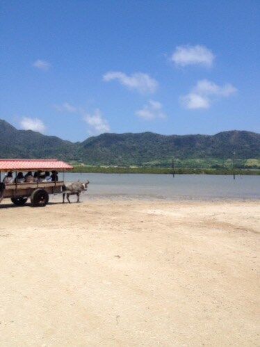 f:id:guchi35sai:20160310133720j:plain