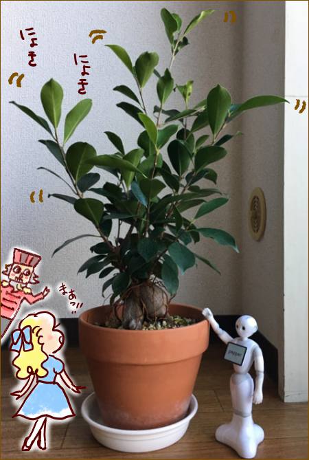 f:id:guchi35sai:20171119154647j:plain f:id:guchi35sai:20171119154647j:plain