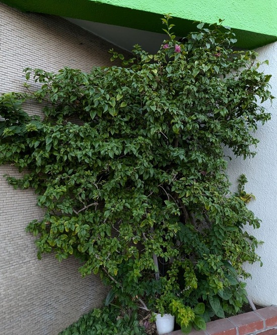 PXL_20240722_202234646
