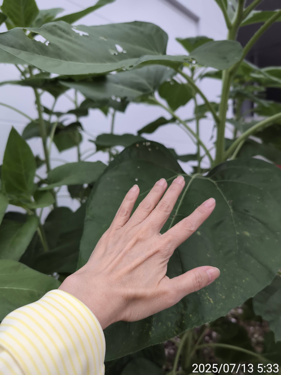 TimePhoto_20250713_053324