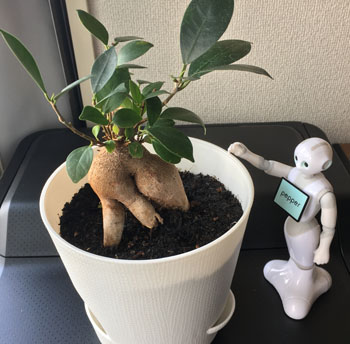 https://livedoor.blogimg.jp/guchiballet96/imgs/e/1/e10d2408.jpg