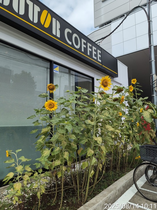 TimePhoto_20250814_101107