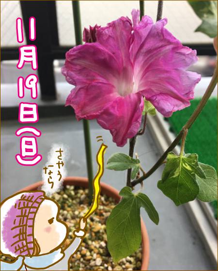 f:id:guchi35sai:20171119154049j:plain f:id:guchi35sai:20171119154049j:plain