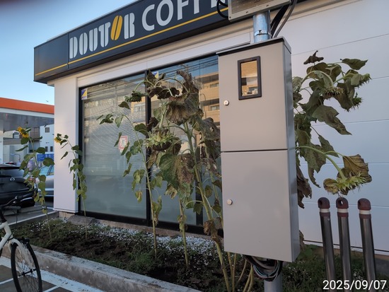 ぼかしモザイク_20250907_184018