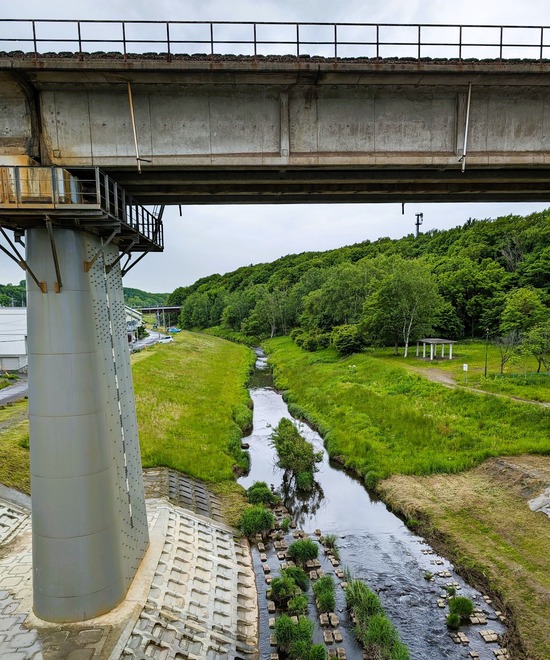 PXL_20240531_013934801