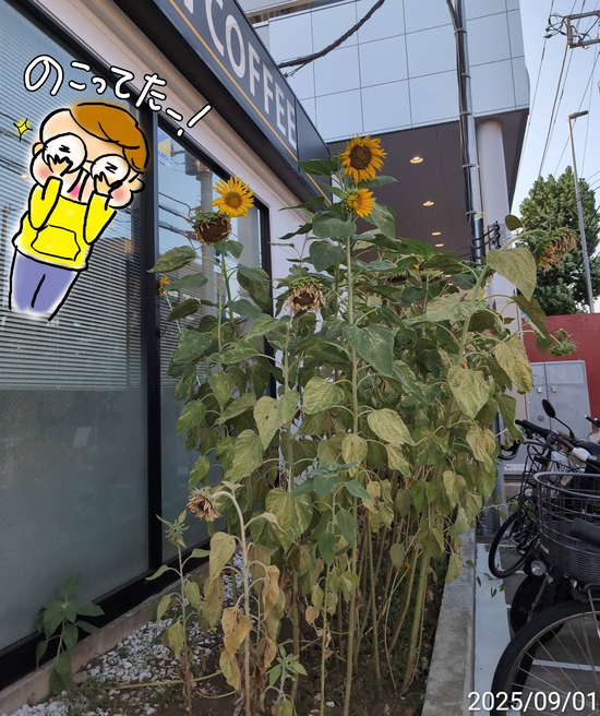 TimePhoto_20250901_172429