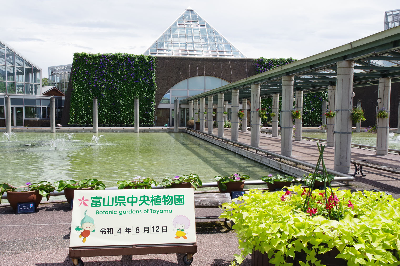 富山県中央植物園のオオオニバス 新 ぐだぐだ日記 と覚え書き Part 2