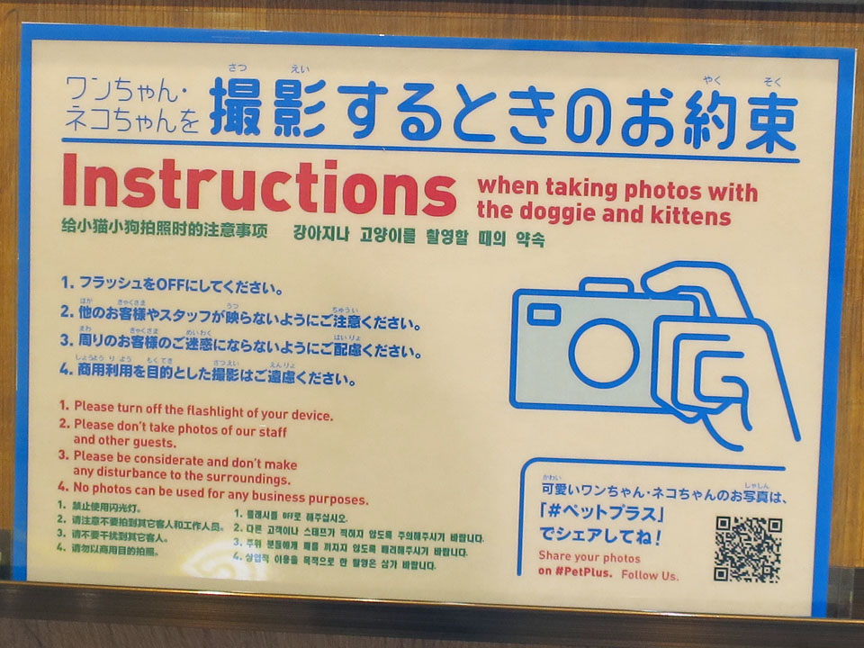 ペットショップでは写真撮影が一応可能でした 新 ぐだぐだ日記 と覚え書き Part 2 ペットショップでは写真撮影が一応可能でした 新 ぐだぐだ日記 と覚え書き Part 2