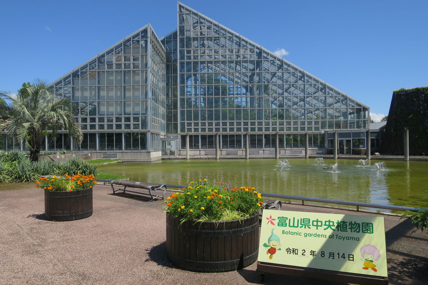 富山県中央植物園のオオオニバス 新 ぐだぐだ日記 と覚え書き Part 2
