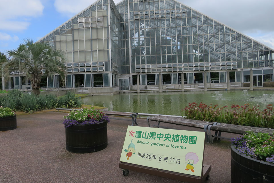 富山県中央植物園のオオオニバス 新 ぐだぐだ日記 と覚え書き Part 2 富山県中央植物園のオオオニバス 新 ぐだぐだ日記 と覚え書き Part 2